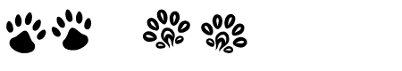 cute paws Regular