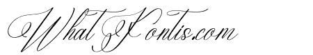Eladorna Gladiota Italic