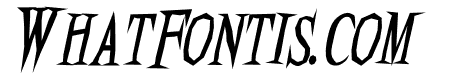 Endless Scarry Italic