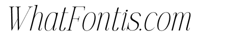 Golastika Italic