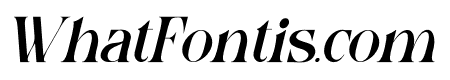 Kaneta Italic