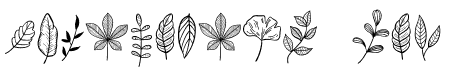 Leaf Doodle