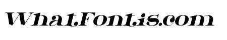 Meotec Italic