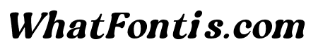 Midcent Disco Italic