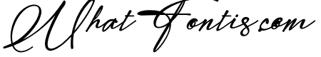 Modern Signature Bold