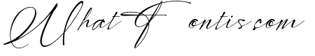 Modern Signature