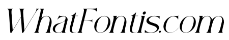 Neoghy Italic