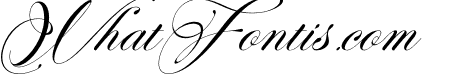 Perfecto Calligraphy Italic