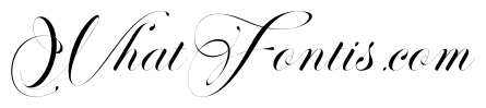 Perfecto Calligraphy Thin