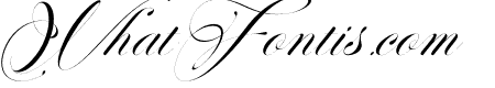 Perfecto Calligraphy Thin Italic