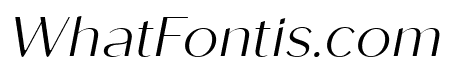 Roden Light Italic