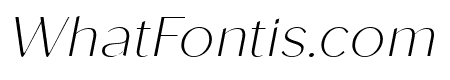 Roden Thin Italic