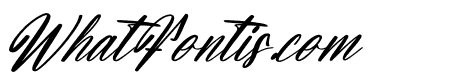 Snapshot Dreams Italic