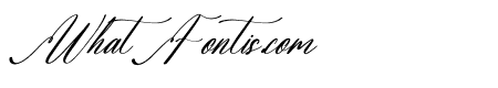 Sovinhaya Dictaselin Italic