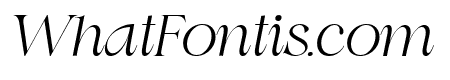 Swily Bright Italic