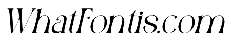 The Doughty Italic