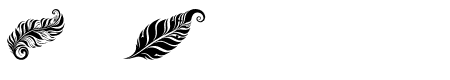 tribal feather Regular