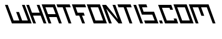 Bionic Type Slant