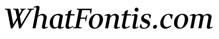 Wittgenstein 500italic