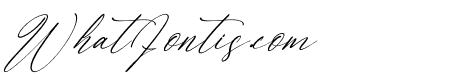 Andrea Carter Italic