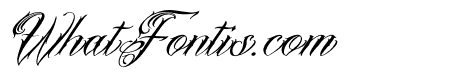 Bionley Italic