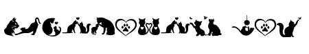 Cat Doodle Font
