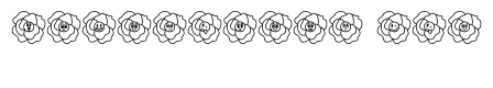 Cute Flower Rose