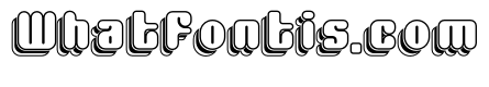 Dynamic Display Ten
