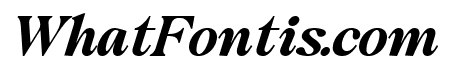 Jim Wollins Display Italic