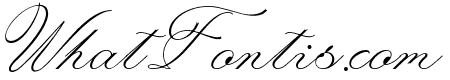 Laurente Script Family Thin