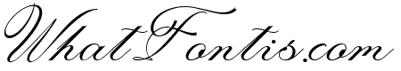 Laurente Script Family Light