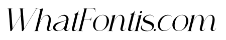 Leficus Italic