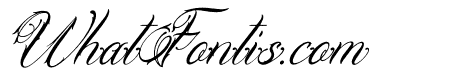 Lentamy Ebigail Italic