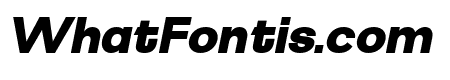 Martix Italic Italic