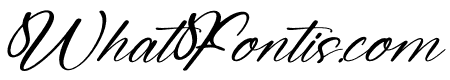 Michael Violena Italic