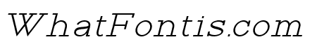 Rante Contact Medium Italic