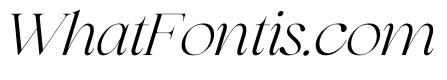Selofier Italic