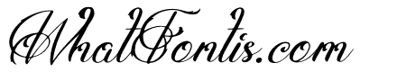 Shatoryu Italic