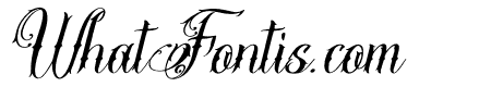 Stejita Italic