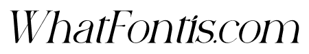 Vinelofi Italic