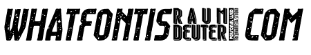 Raumdeuter   Stamp Italic