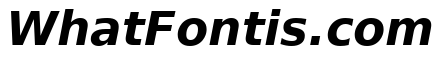 Dejavu Lgc Bold Italic