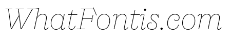 Ernst Thin Italic