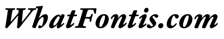 Adobe Kis Caption Bold Italic