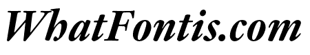 Adobe Kis Subhead Bold Italic