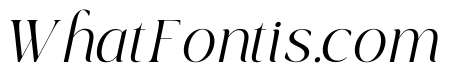 TBJ Black Gold Mini Italic