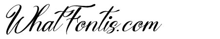 Emilleya Italic