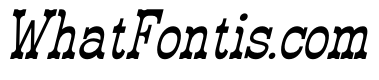 Erikoji Italic