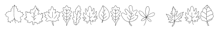 Leaf Thanksgiving