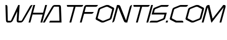 Learning and Leveling Light Italic
